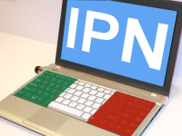 Newsletter IPN